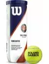 Мячи теннисные Wilson Roland Garros Clay Court WRT125000 (3 шт) icon