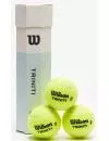 Мячи теннисные Wilson Triniti (4 шт) WRT115200 icon