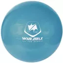 Мяч гимнастический WinMax Sport 75 см WMF09648D (голубой) icon