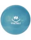 Фитбол Winmax Sport WMF09945 blue 65 см Антивзрыв icon