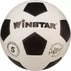 Футбольный мяч Winstar WN11002 (5 размер) icon