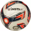 Футбольный мяч Winstar WN11003 (5 размер) icon