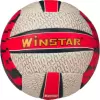 Футбольный мяч Winstar WN11004 (5 размер) icon