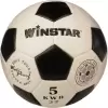 Футбольный мяч Winstar WN11007 (5 размер) icon