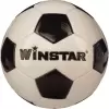 Футбольный мяч Winstar WN11008 (5 размер) icon