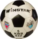 Футбольный мяч Winstar WN11009 (5 размер) icon