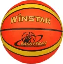 Баскетбольный мяч Winstar WN11015 (7 размер) icon