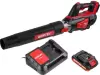 Воздуходувка Wortex BB 2018 D ALL1 XLT Set 1333739 (с 1-им АКБ) icon