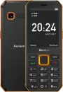 Мобильный телефон Xenium X300 (оранжевый/черный) icon