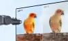 Монитор Xiaomi 2K Monitor A27Qi 2026 P27QDA-RAGL (международная версия) icon 5