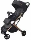 Детская коляска Xo Kid Ride Gold (Black-G) icon