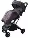 Детская коляска Xo Kid Ride Gold (Dark Grey) icon 2