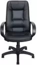 Компьютерное кресло Яркресла Кр40 ТГ ДЕРЕВО ЭКО1 (экокожа черный) icon 3
