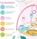 Развивающий коврик Zabiaka 9351638 розовый icon 11