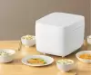 Мультиварка Xiaomi Mijia Rice Cooker C1 3L MDFBZ02ACM icon 2