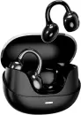 Наушники Zhulinniao Shengxiao T40 (черный) icon