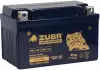 Аккумулятор Зубр Premium YTZ10S(MF) (10Ah) icon