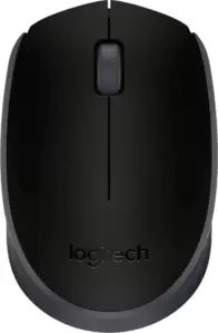 Компьютерная мышь Logitech M171 (черный) фото