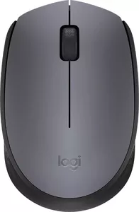 Компьютерная мышь Logitech M171 (графит) фото