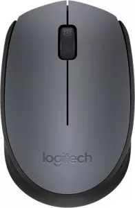Компьютерная мышь Logitech Wireless Mouse M170 фото