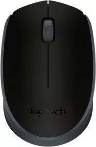 Компьютерная мышь Logitech Wireless Mouse M171 Black фото