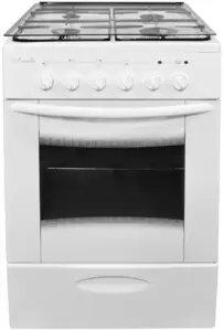 Кухонная плита Лысьва ЭГ 401 МС-2 (белый) фото