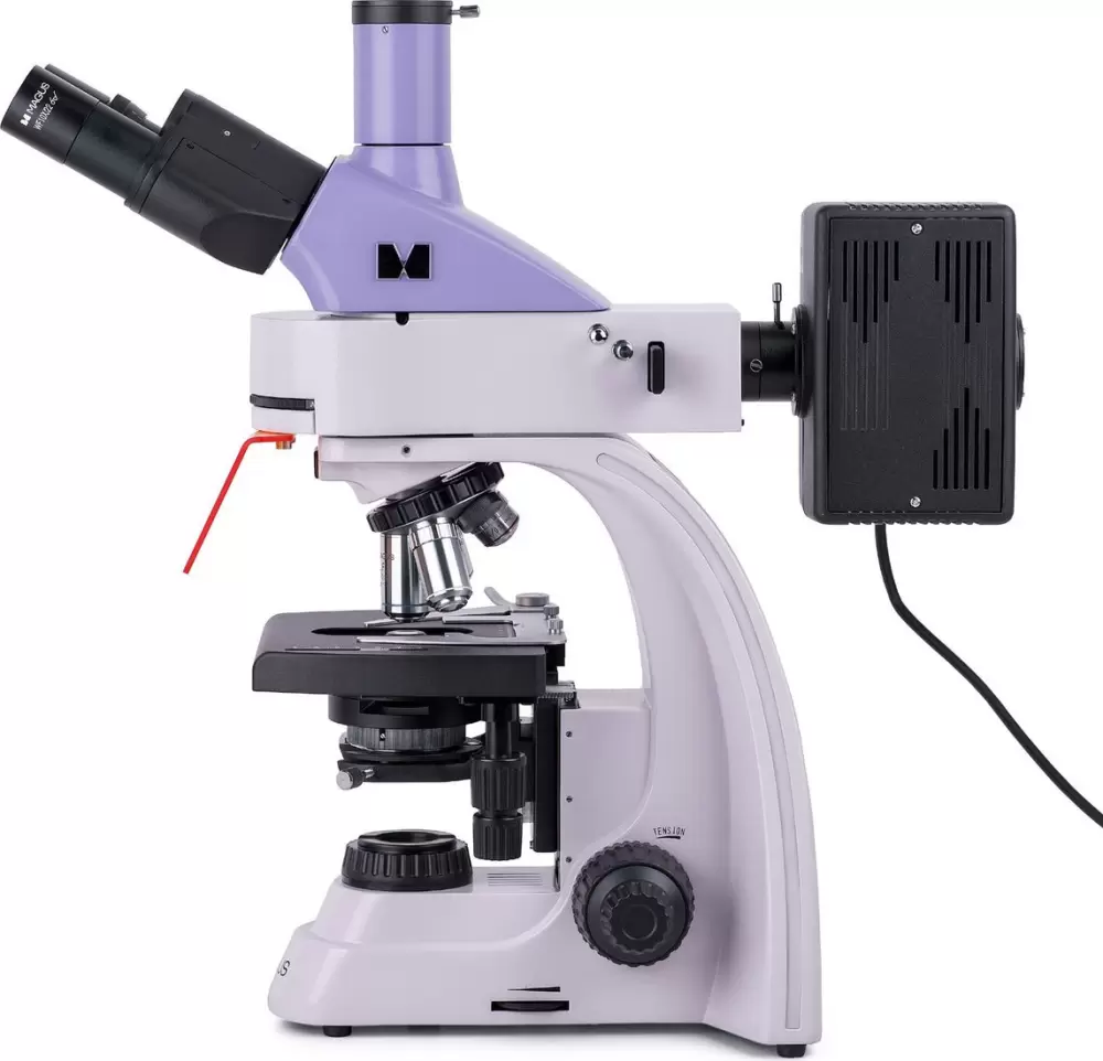 Микроскоп Magus Lum D400 83016 фото 4