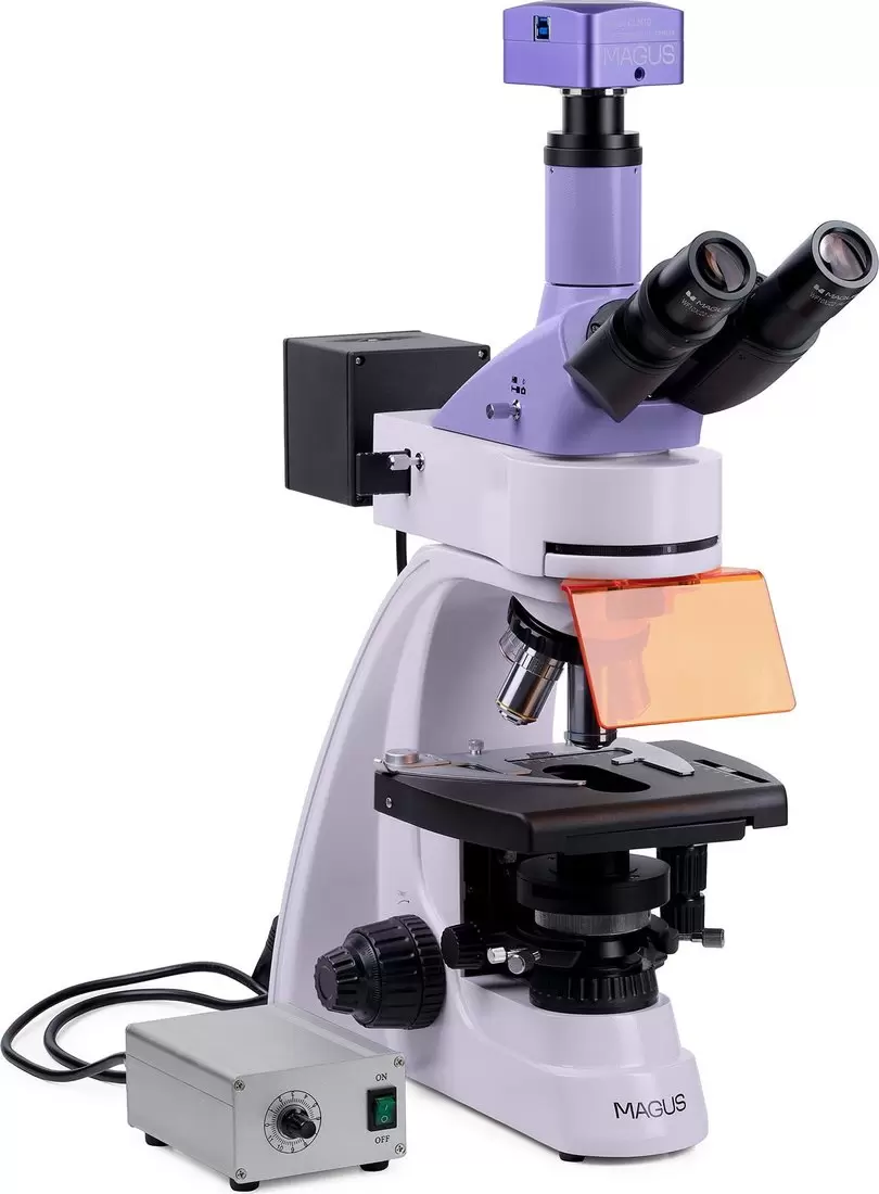 Микроскоп Magus Lum D400L 83018 фото 4