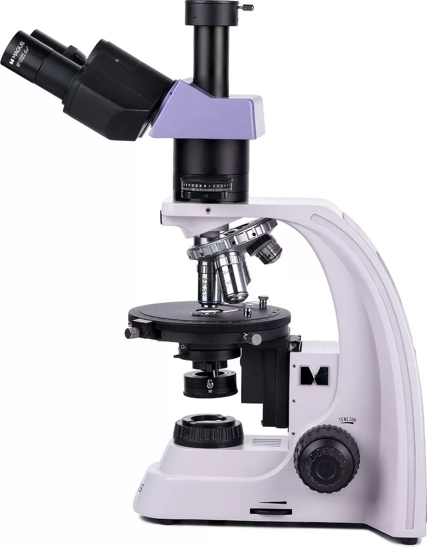 Микроскоп Magus Pol D800 83040 фото 2
