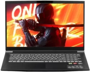 Ноутбук Maibenben X17A X17A-R77435FFSLBRE0 фото
