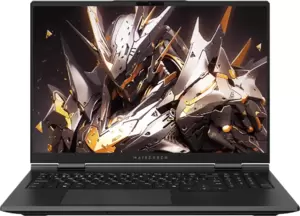 Игровой ноутбук Maibenben X-Treme Tsunami X16F X16F-R98957T0GGRLG4E10