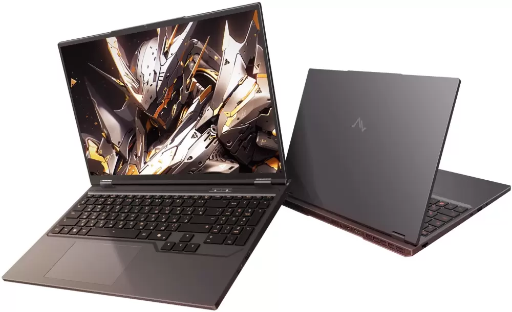 Игровой ноутбук Maibenben X-Treme Tsunami X16F X16F-R98957T1JGRHG4E10 фото 5