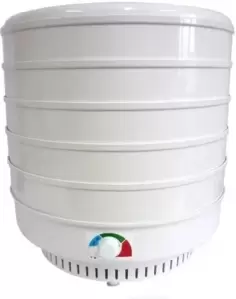 Спектр-Прибор Ветерок-2 ЭСОФ2-0.6/220 (5 поддонов, белый)