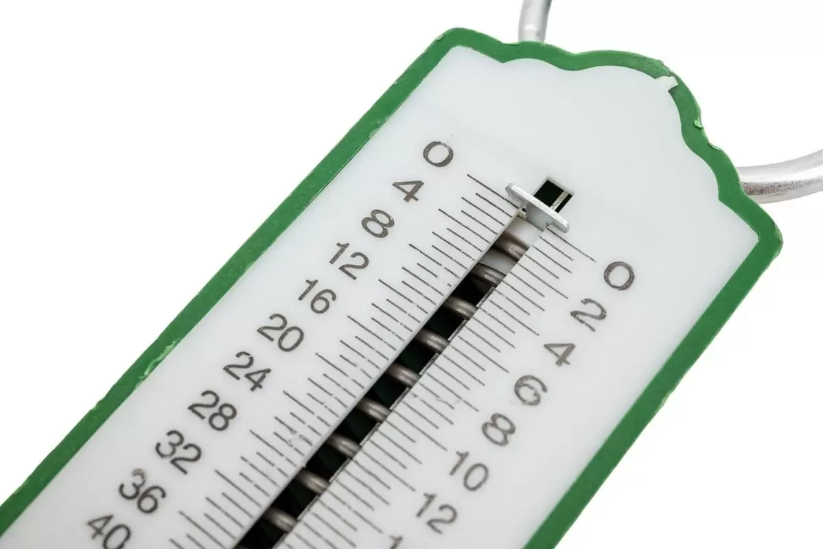 Кухонные весы Рыжий кот Столбик БПЦ-20 фото