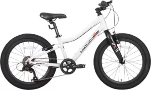 Детский велосипед Maxiscoo 3bike 20 L 2025 MSC-M3-2003 (серый) фото