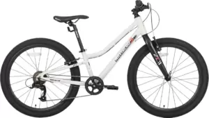 Велосипед Maxiscoo 3bike 24 L 2025 MSC-M3-2403 (серый) icon