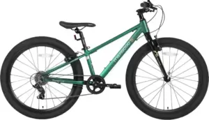 Maxiscoo 5Bike 24 2026 MSC-M5-2421 (зеленый матовый)