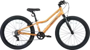 Maxiscoo 5Bike 24 2026 MSC-M5-2423 (оранжевый матовый)