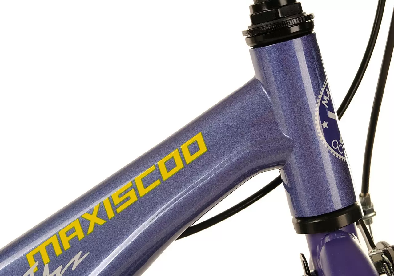 Детский велосипед Maxiscoo Maxiscoo Jazz Стандарт Плюс 14 2024 msc-j1431 (синий карбон) фото