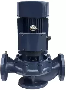 Циркуляционный насос MAXPUMP IL 65-310/30 фото