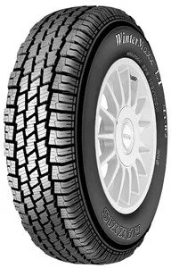 Зимняя шина Maxxis MA-W2 165/70R14C 89/87R фото