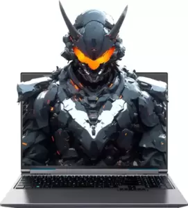 Игровой ноутбук Mechrevo Aurora X FGM-X6RP556W0051201 фото