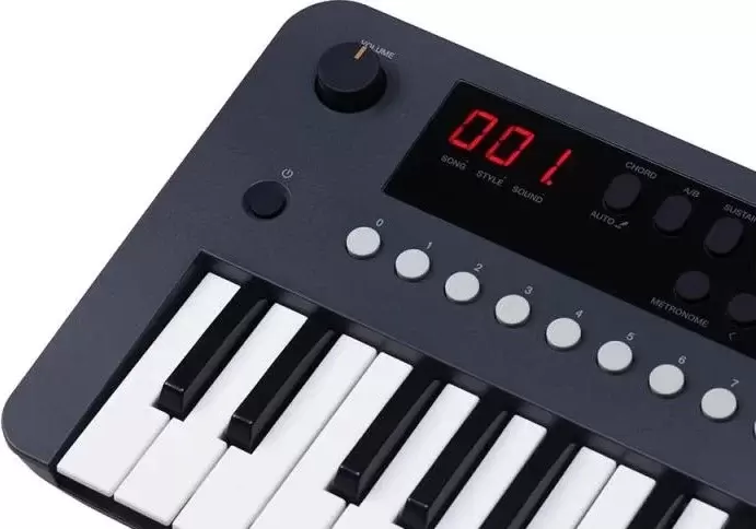 Синтезатор Medeli MK37 фото