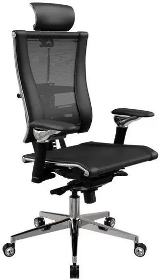 Metta Yoga 4DF L2-57D