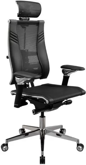 Metta Yoga Spine Triumph B2