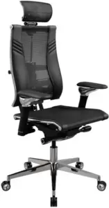 Metta Yoga Spine Triumph B2