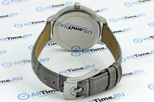 Наручные часы Michael Kors MK2479 фото