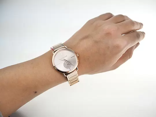 Наручные часы Michael Kors MK3640 фото