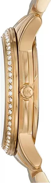 Наручные часы Michael Kors MK6618 фото