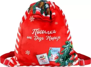 Мешок для обуви Milo Toys Посылка от Деда Мороза 9720697 фото